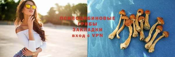 МДПВ Ельня