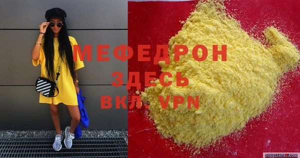 МДПВ Ельня
