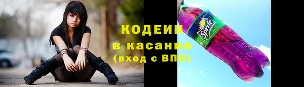 МДПВ Ельня