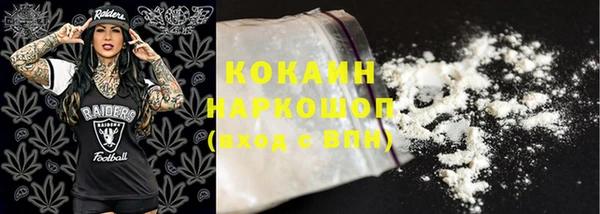 МДПВ Ельня