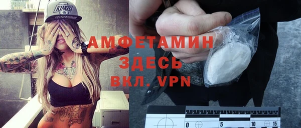 МДПВ Ельня