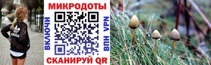 Галлюциногенные грибы прущие грибы  Купить где  Назарово 